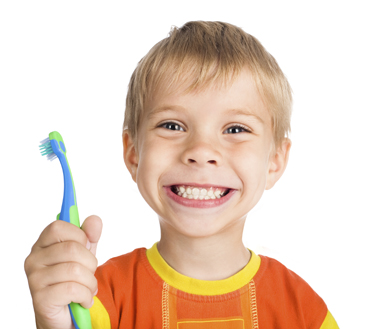 Young boy holding toothbrush while cleans teeth at Seidler Family Dentistry.